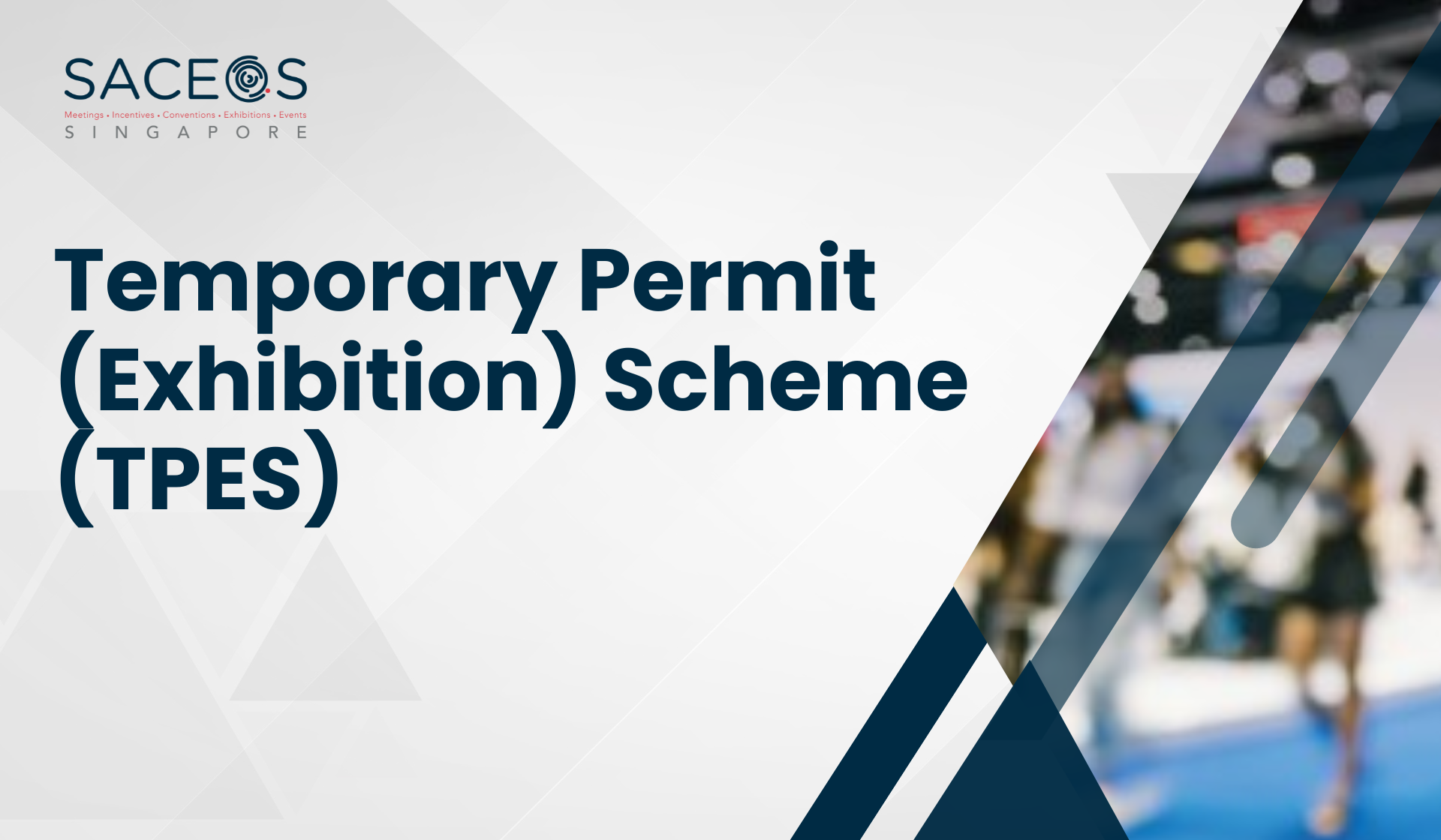 Temporary Permit (Exhibition) Scheme (TPES)